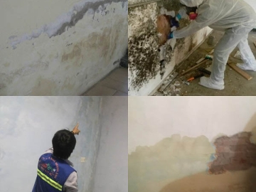 Dịch vụ chống thấm ngược